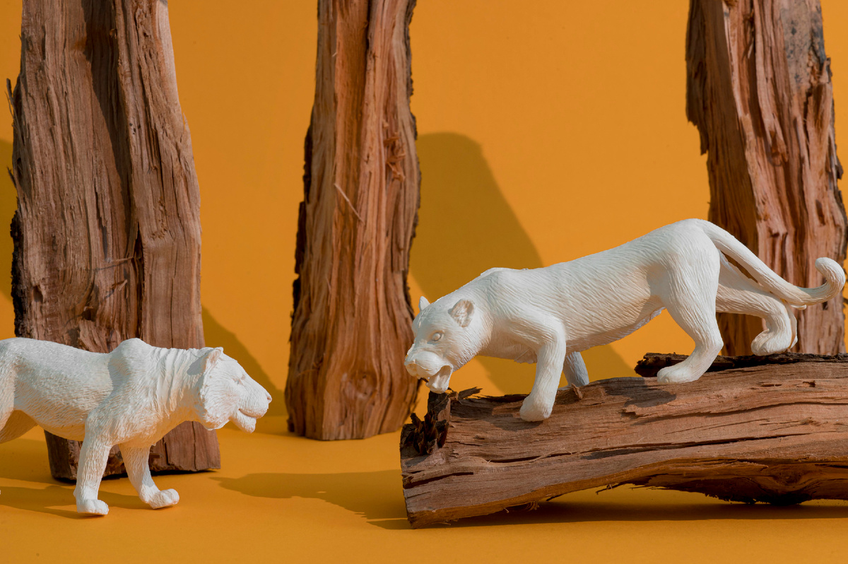 Зоология живёт не только в джунглях