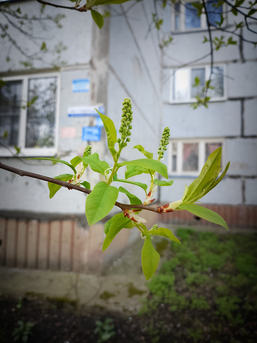 Фото автора