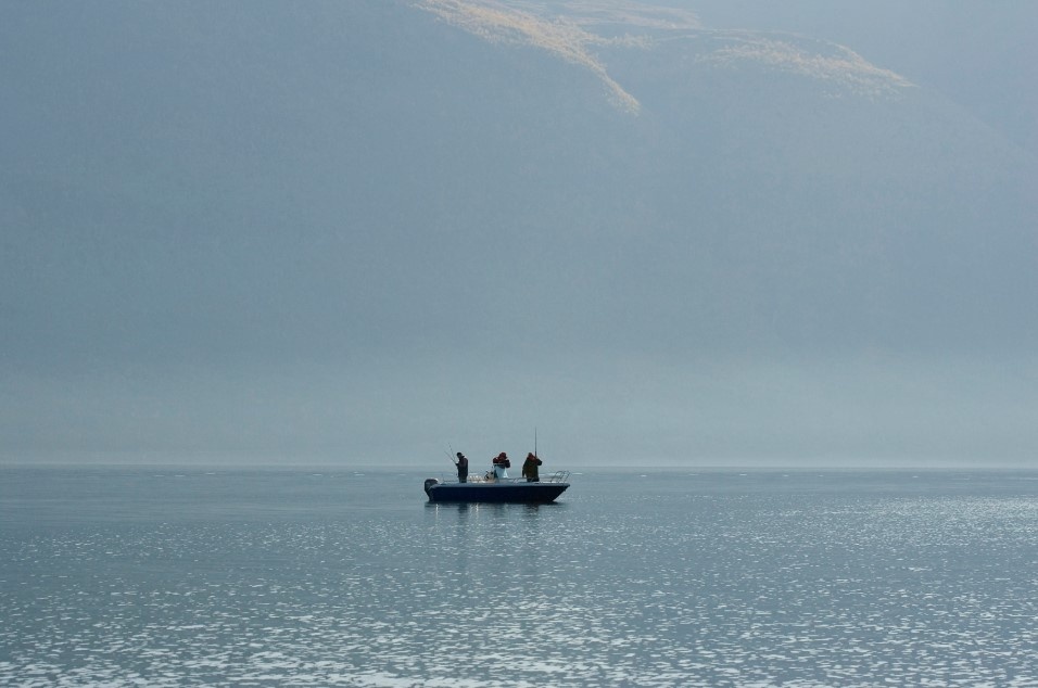    Фото: Roman Denisov/Globallookpress