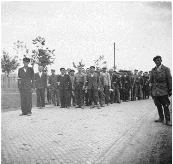 Польские добровольцы, желающий служить новой немецкой власти. Из открытых истчников