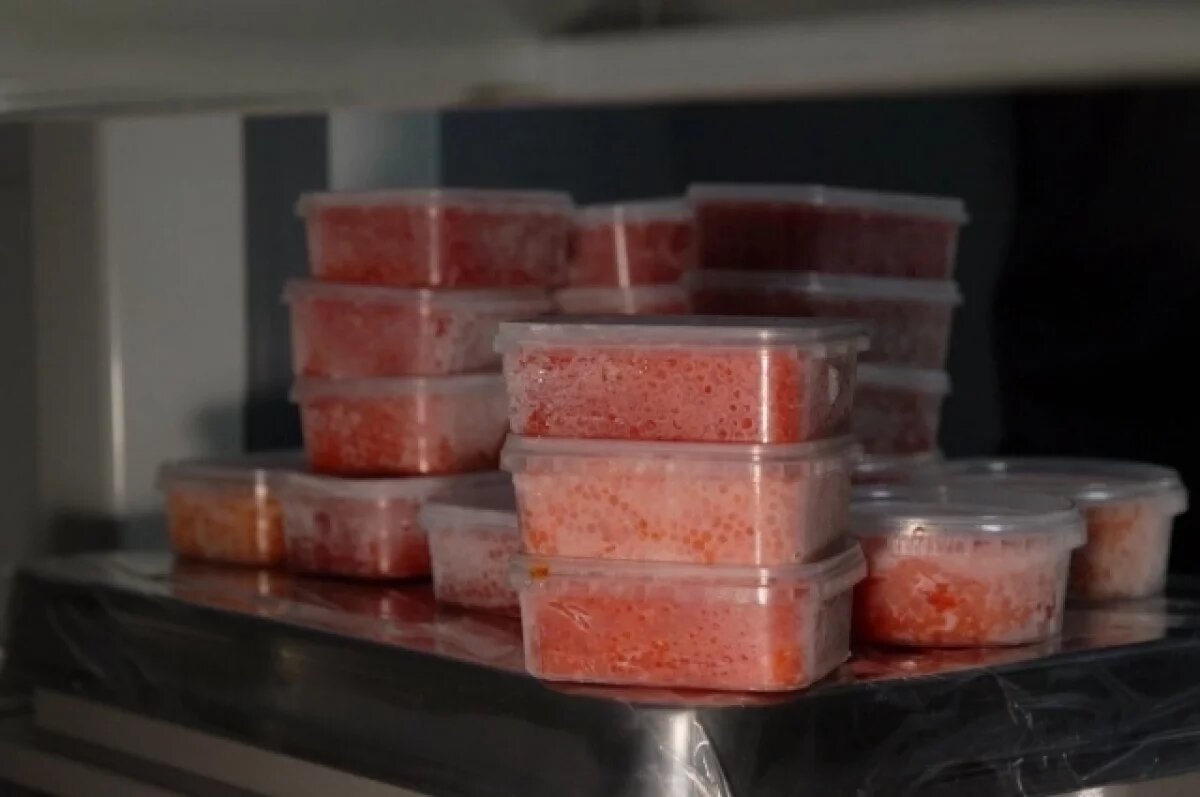    До 2027 года продлили ограничения на вывоз более 10 кг икры с Камчатки