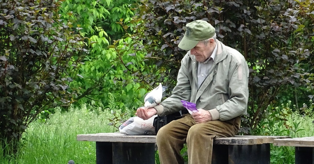 «Мои инвестиции в перья»