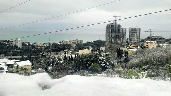    © Telegram Галина Огнева