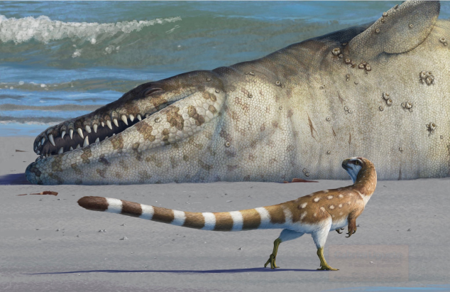 Хоть у Дакозавра и были плавники, похожие на лапы, он не мог передвигаться по суше, как обычный крокодил