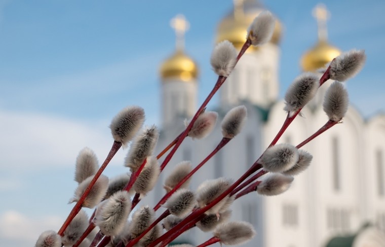    Shutterstock/FOTODOM