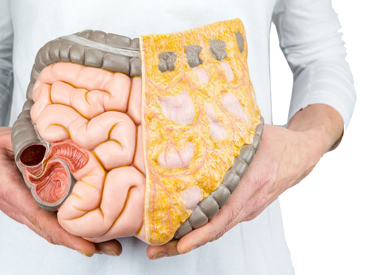 Если кишечник плохо работает – вздутие, бурление и не только: почему не надо сдавать анализ на дисбактериоз