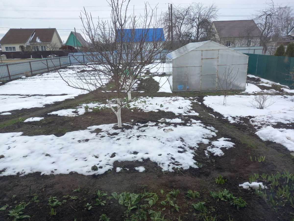 Фото 12 апреля.