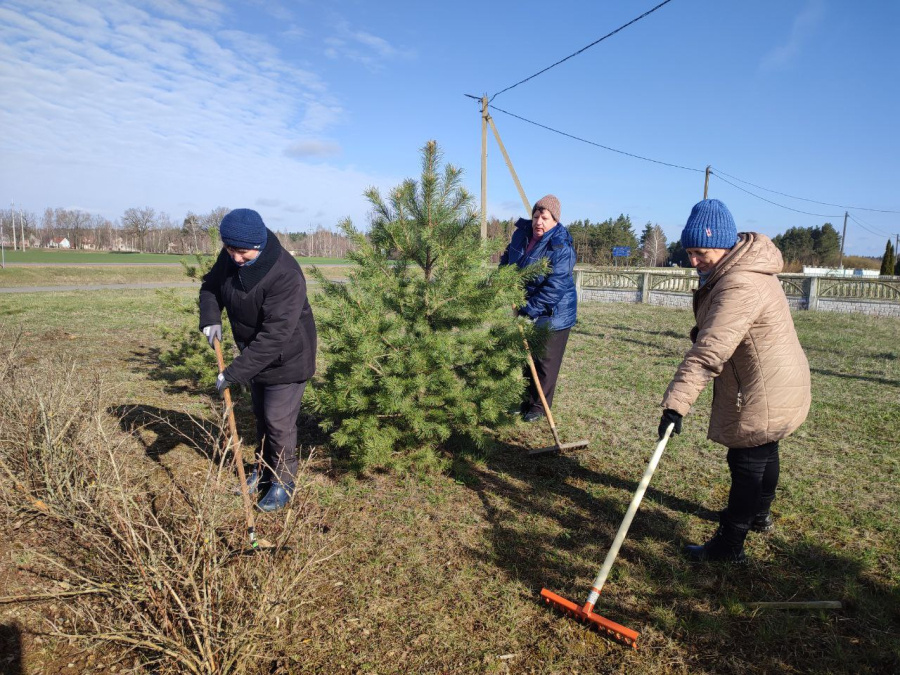     Субботник: готовим спортивную зону к сезону