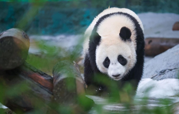    Алексей Белкин/NEWS.ru