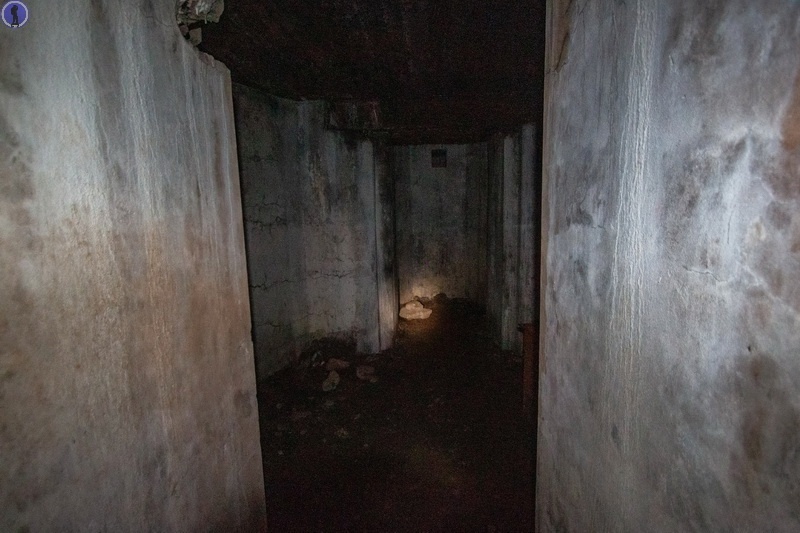 -23