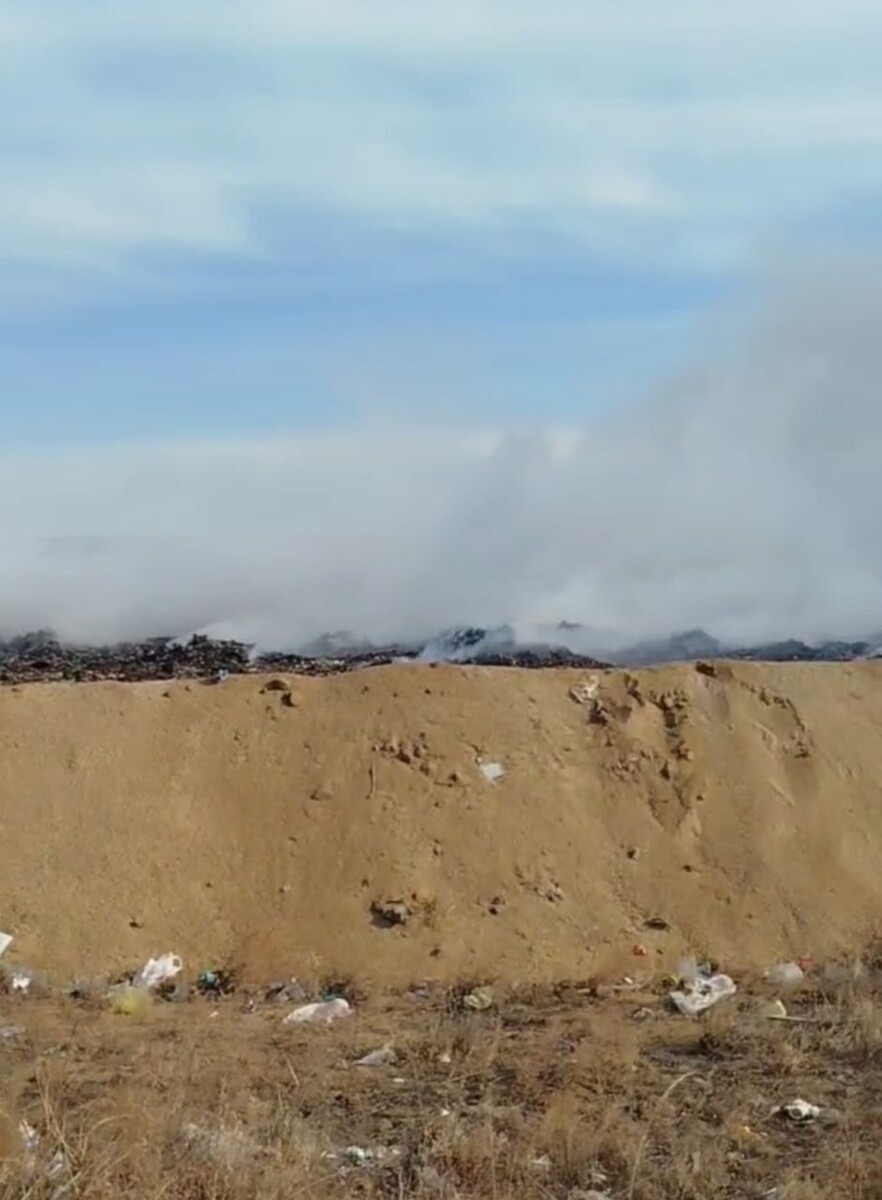    Фото: Пресс-служба Минприроды Забайкалья