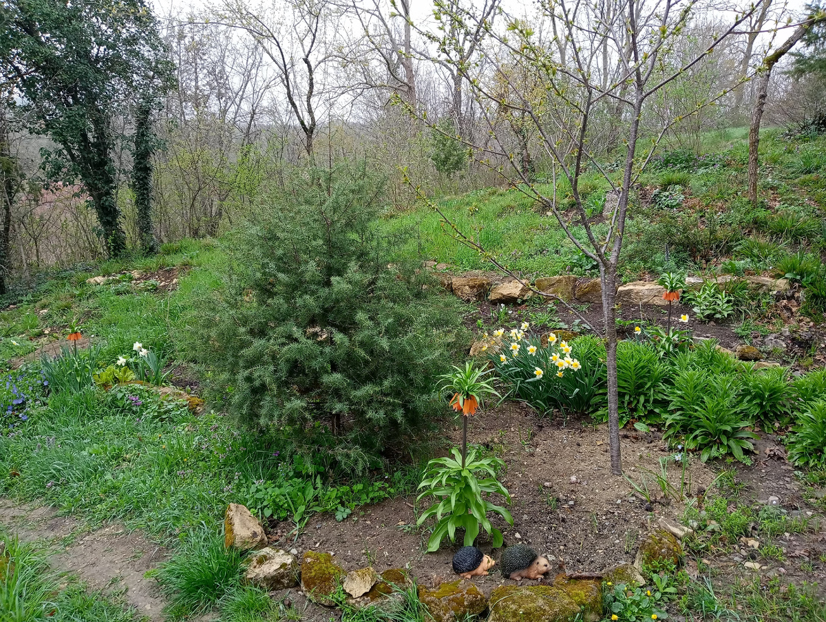 Мой цветник на склоне весной