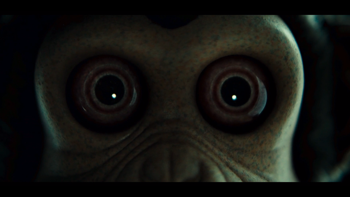 Кадр из фильма Обезьяна (2025)