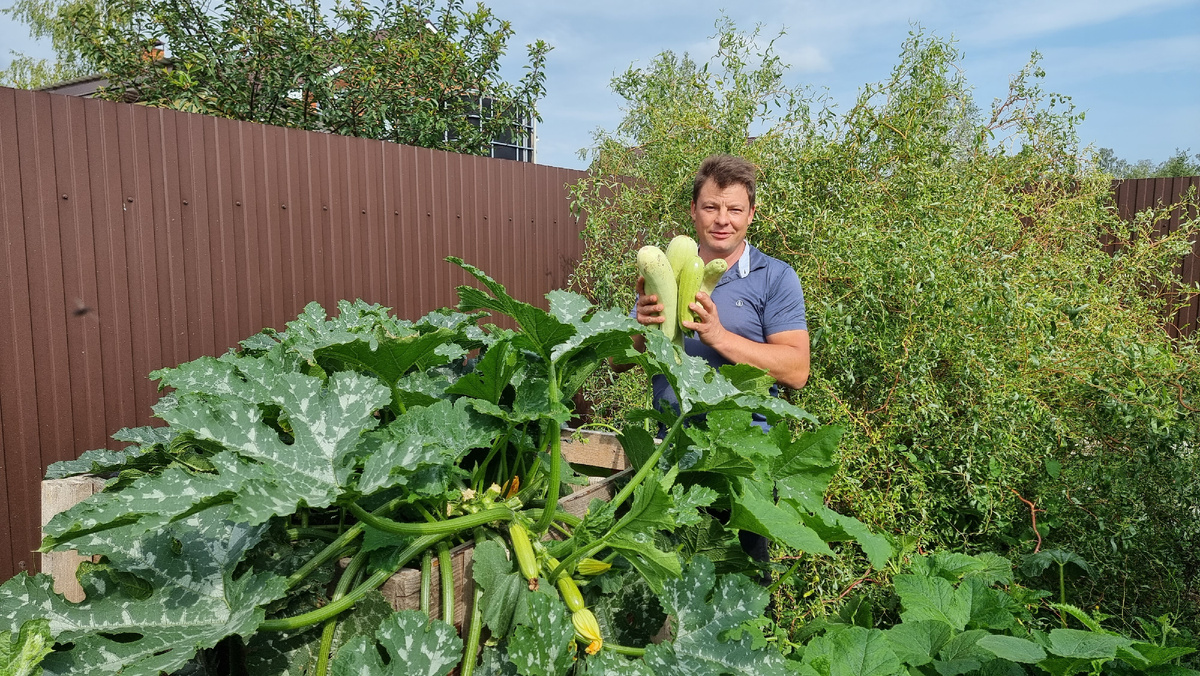 Все фото авторские