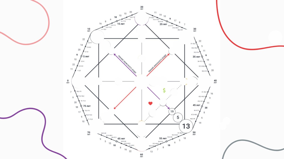 Программа по  роду отца