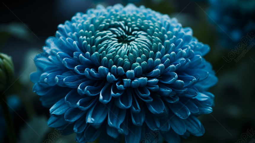 картинка взята с сайта:ru.lovepik