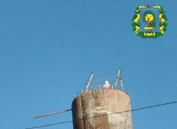    За судьбой птицы следили многие