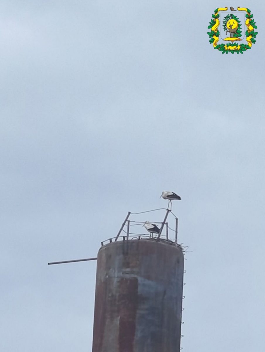    Фото: Министерство лесного хозяйства Нижегородской области