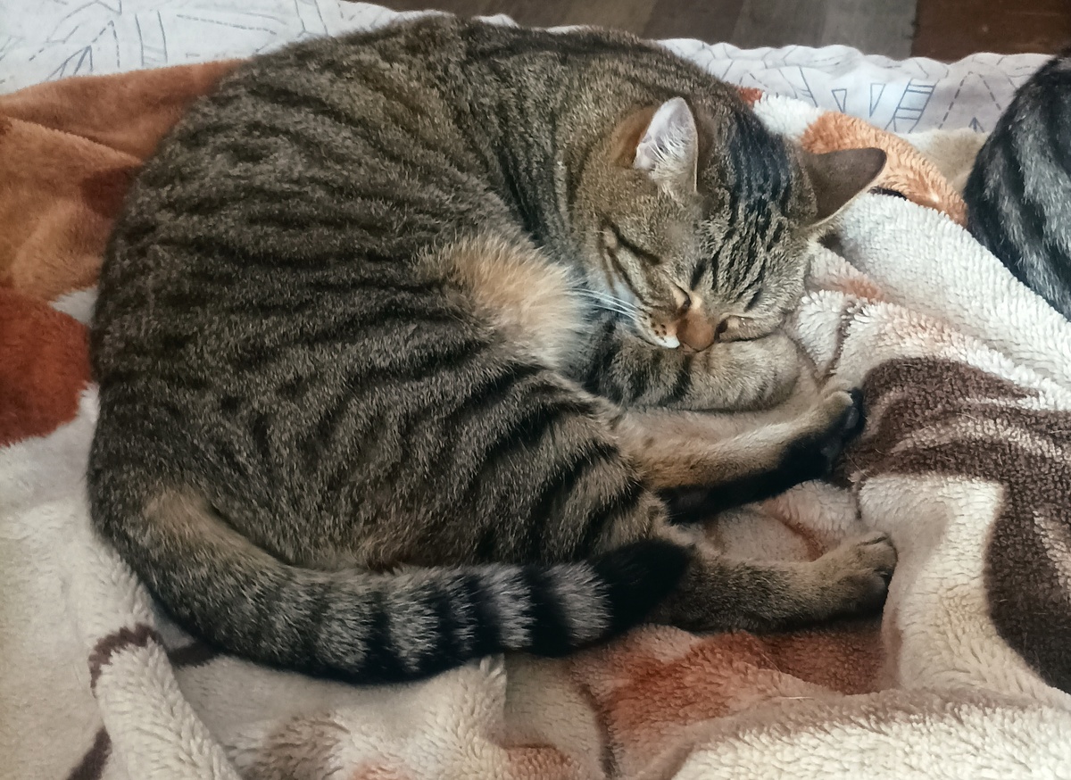 Конечно бегать всю ночь устанешь еще не так, да Ляля? 