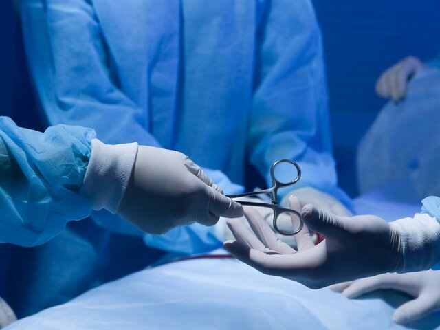    Фото: 123RF/serezniy