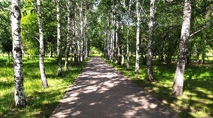    Фото из архива "Континента Сибирь"