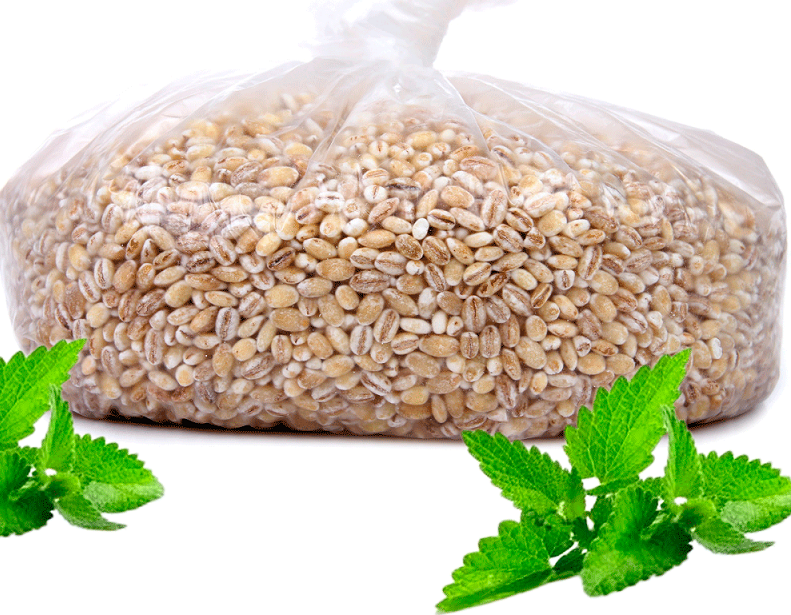 Крупа перловая. Польза для организма