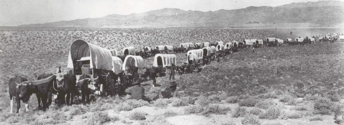 Кочующие скотоводы