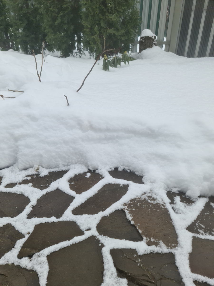 Слой снега 20-25см у крыльца дома