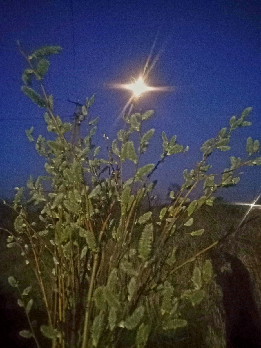 Фото автора 