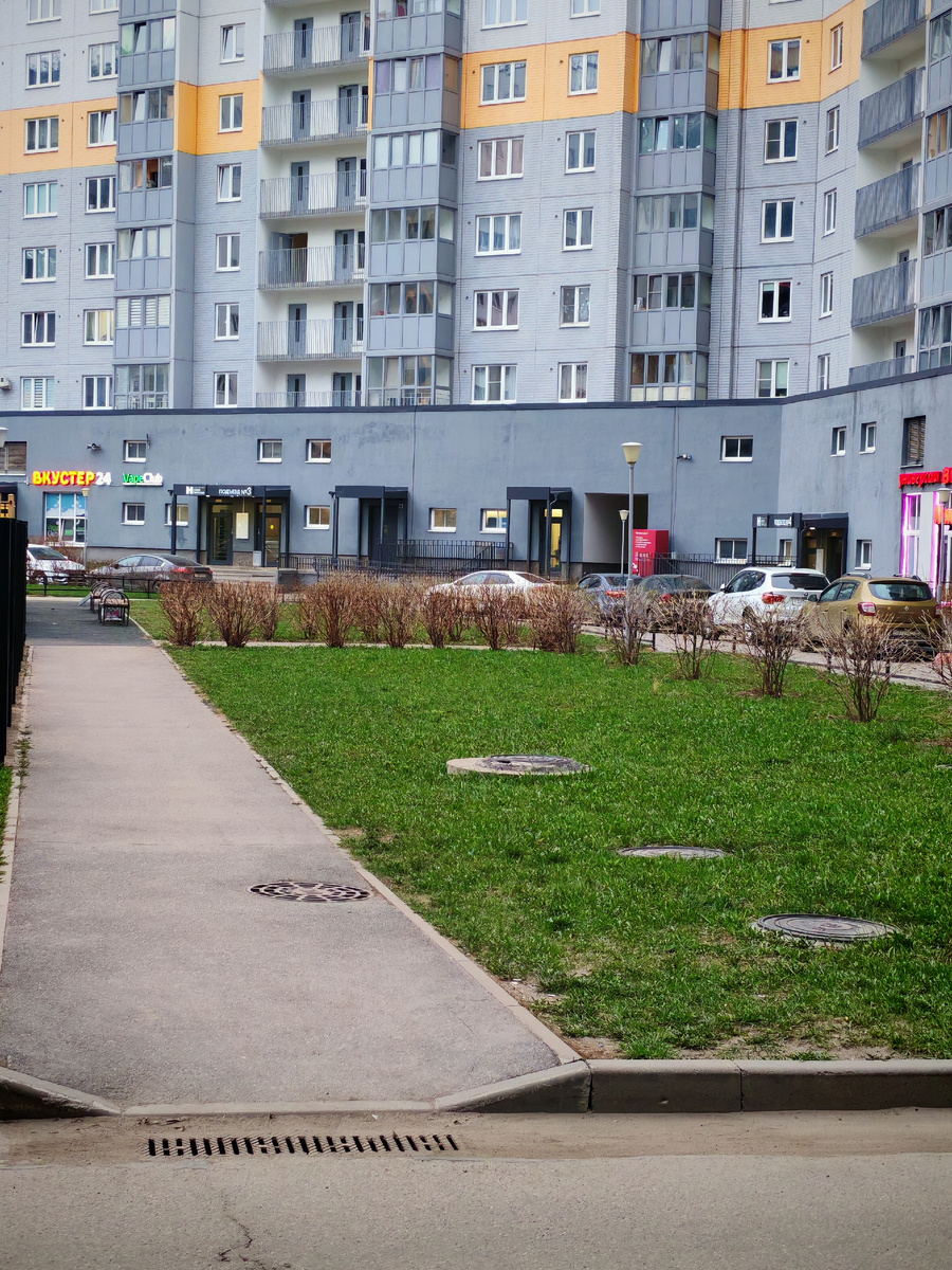 Постепенно становится светлее. Сегодня опять обещают +22°