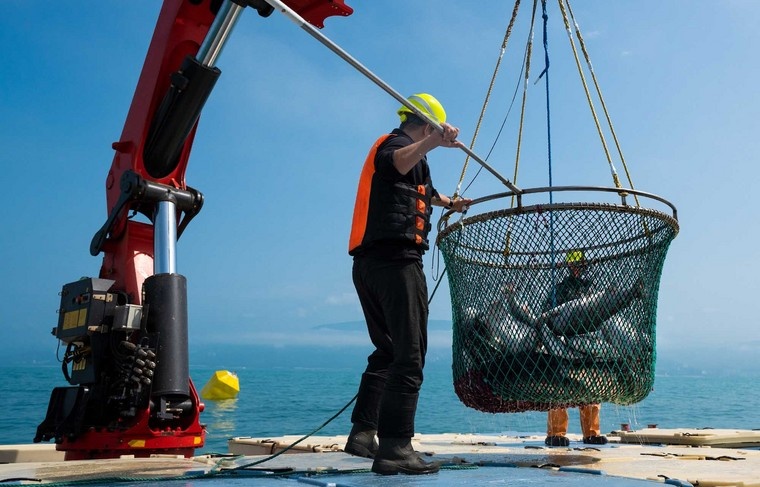    Shutterstock/FOTODOM