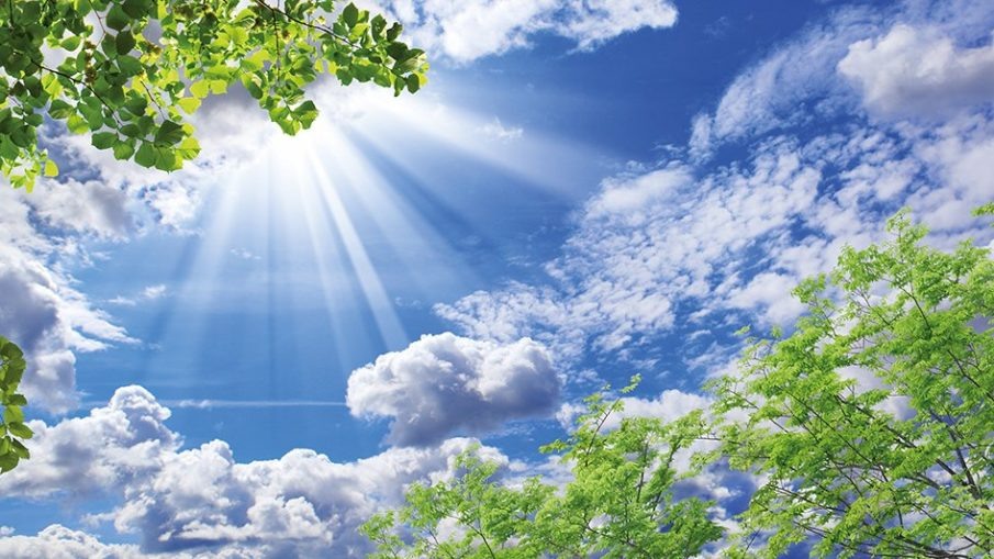 Промысел. Ссылка на фото: https://clck.ru/3LNsyn