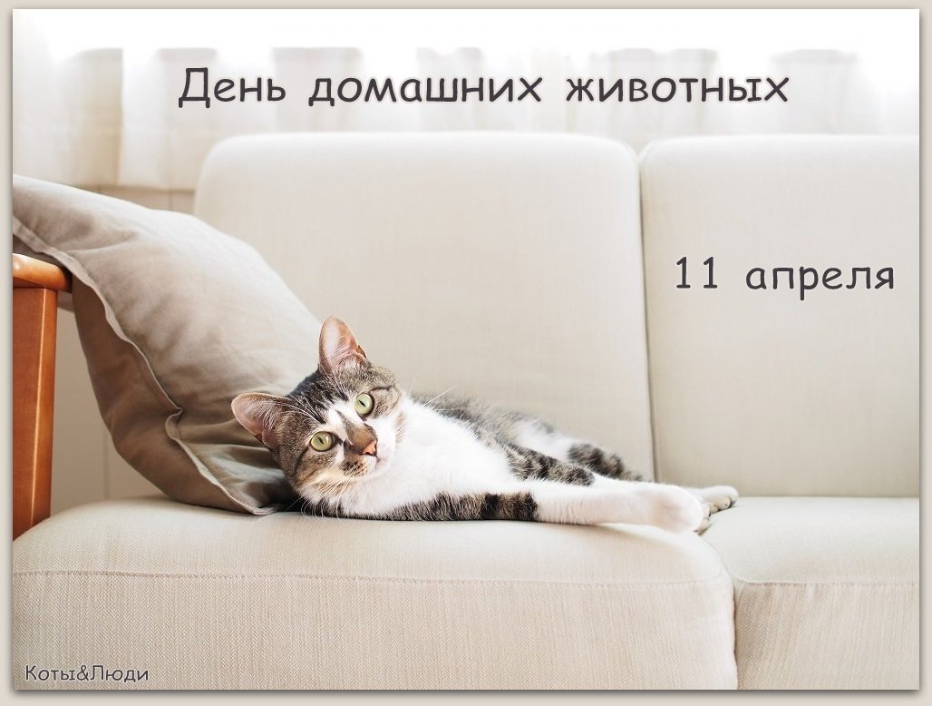 Коллаж автора