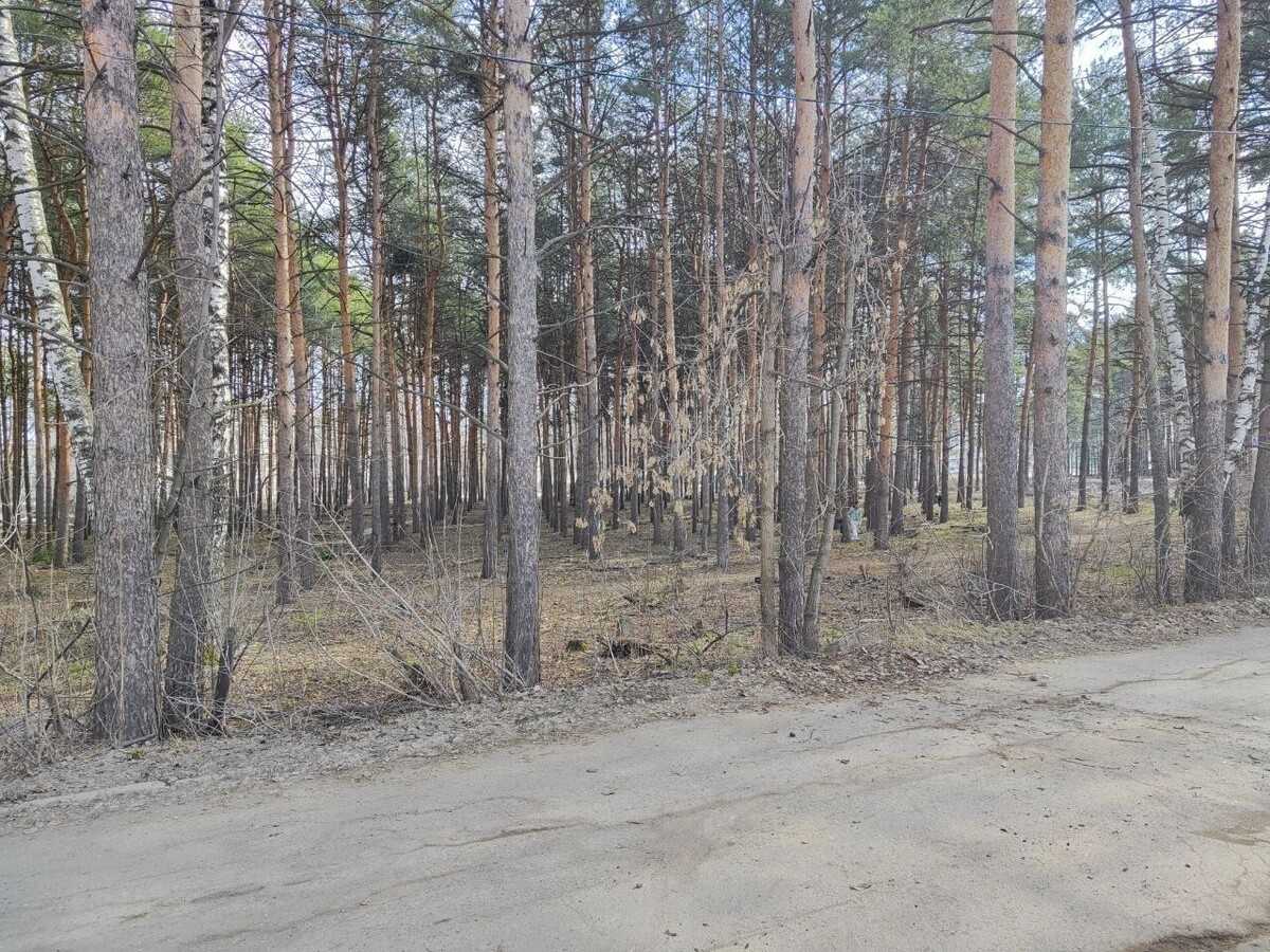     Источник: t.me/Андрей Шуткин