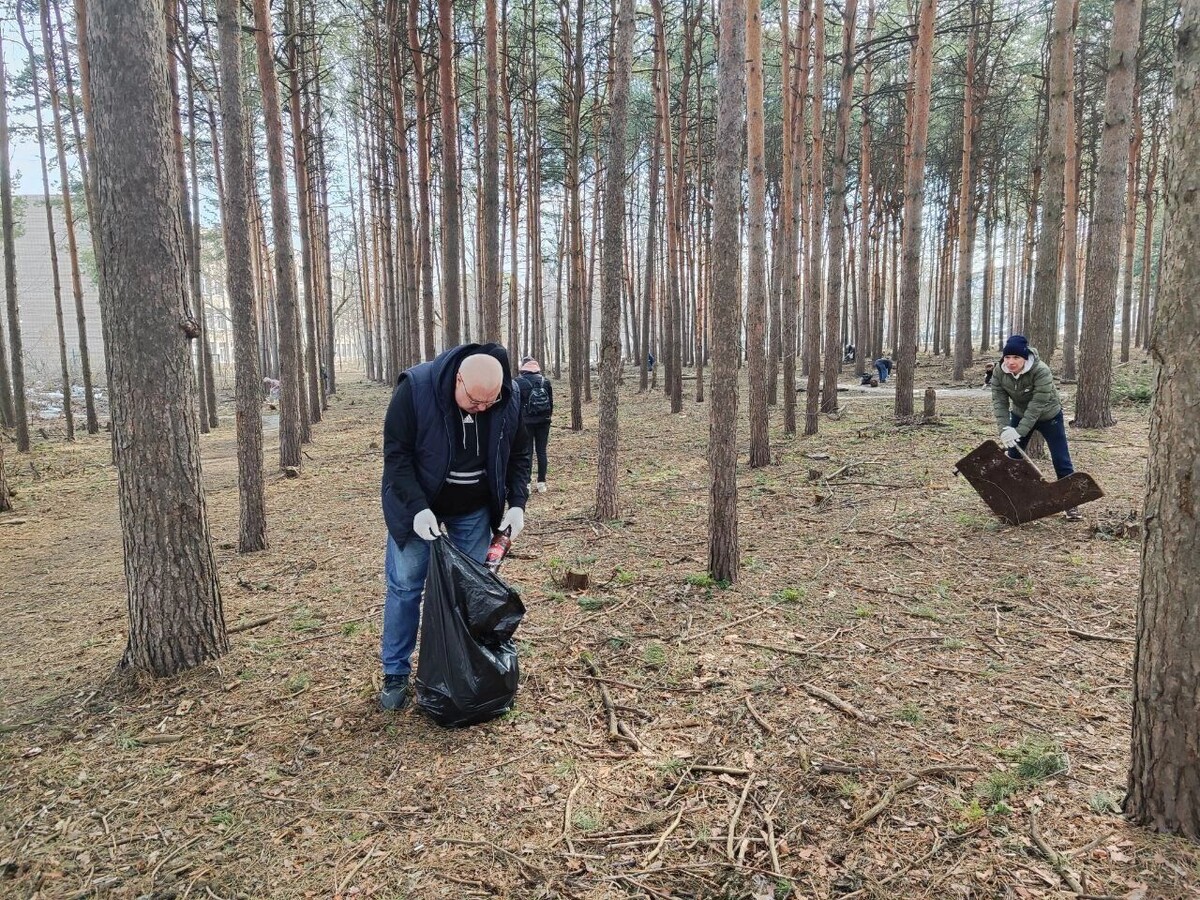     Источник: t.me/Андрей Шуткин