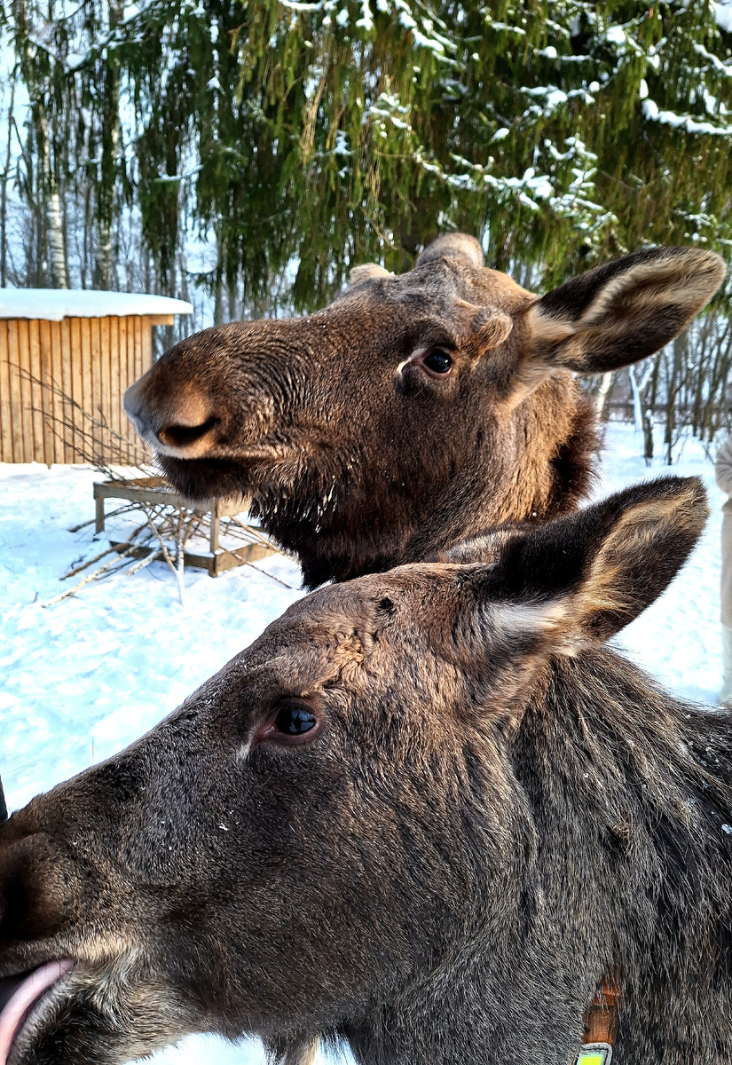 Кадр на память 📸