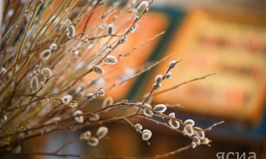 Вербное воскресенье-2025: что можно и нельзя делать