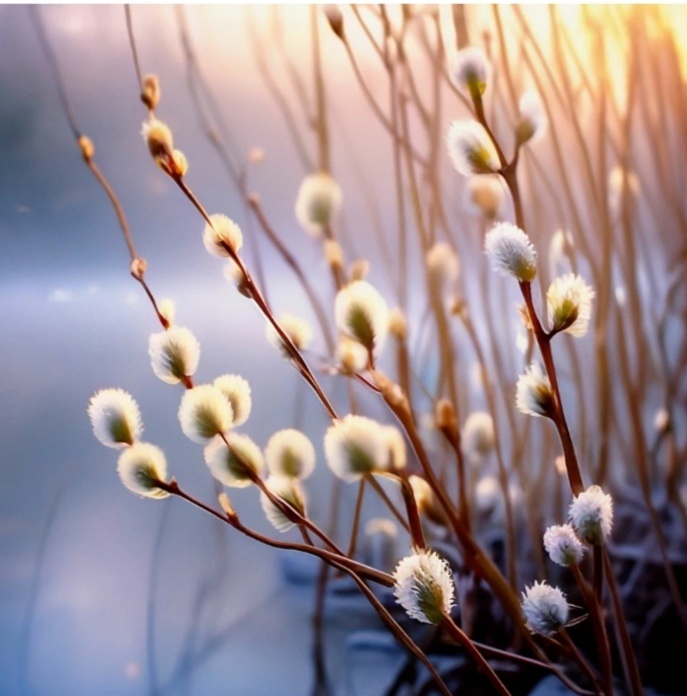 В лучах солнца