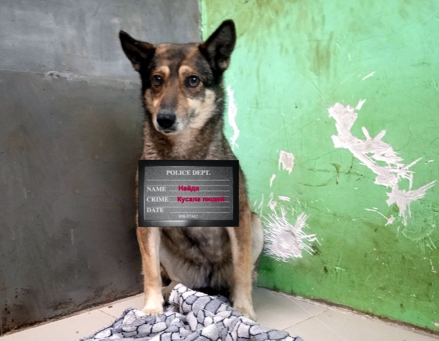 Опасная преступница