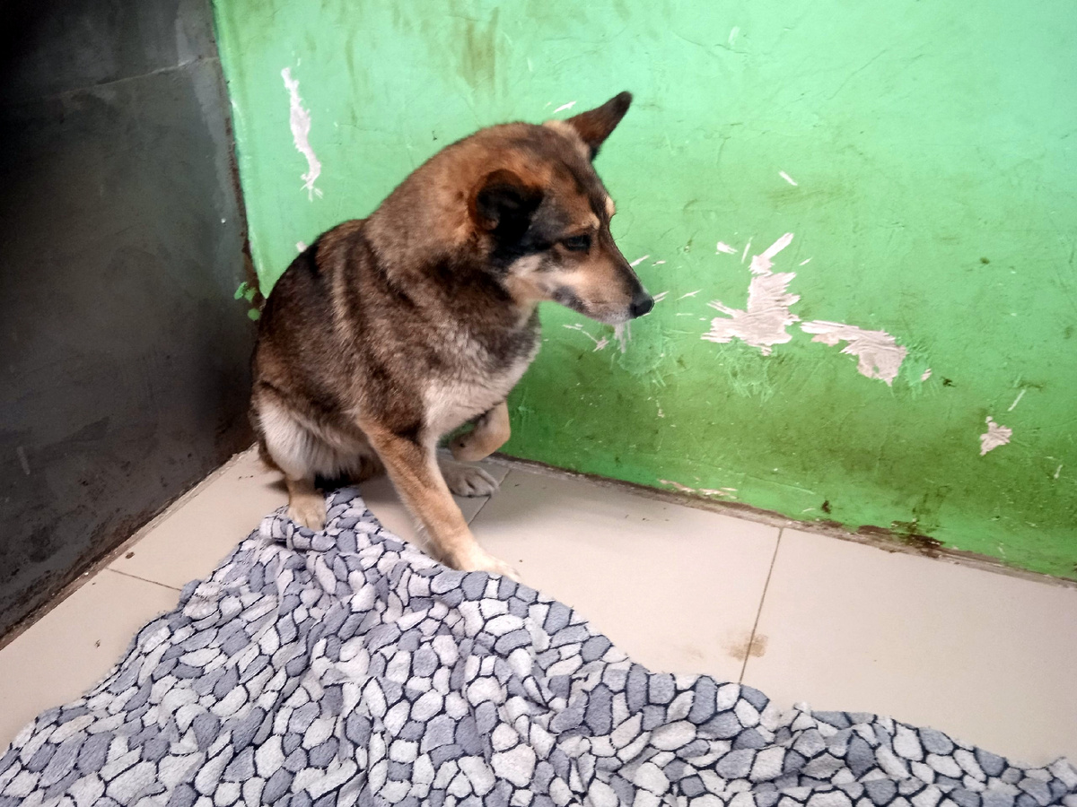 Почему - это её тайна