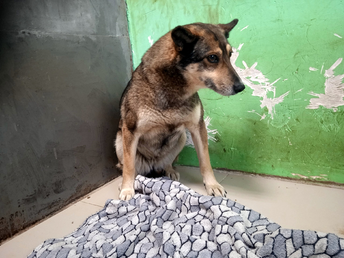 И нам не узнать об этом уже никогда