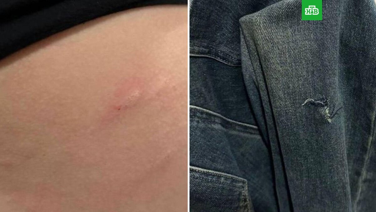    Фото: соцсети