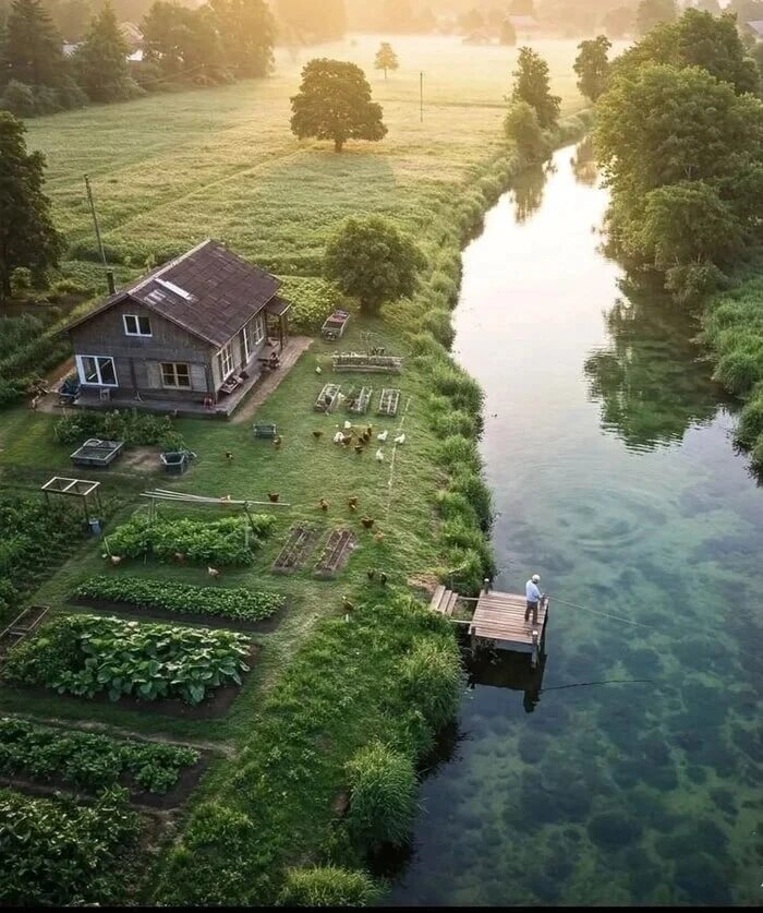 После достижения финансовой независимости
