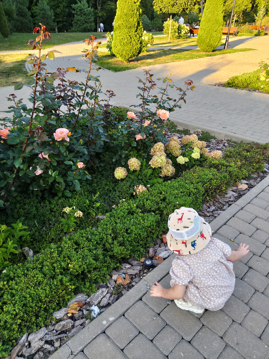 Скорей бы уже так