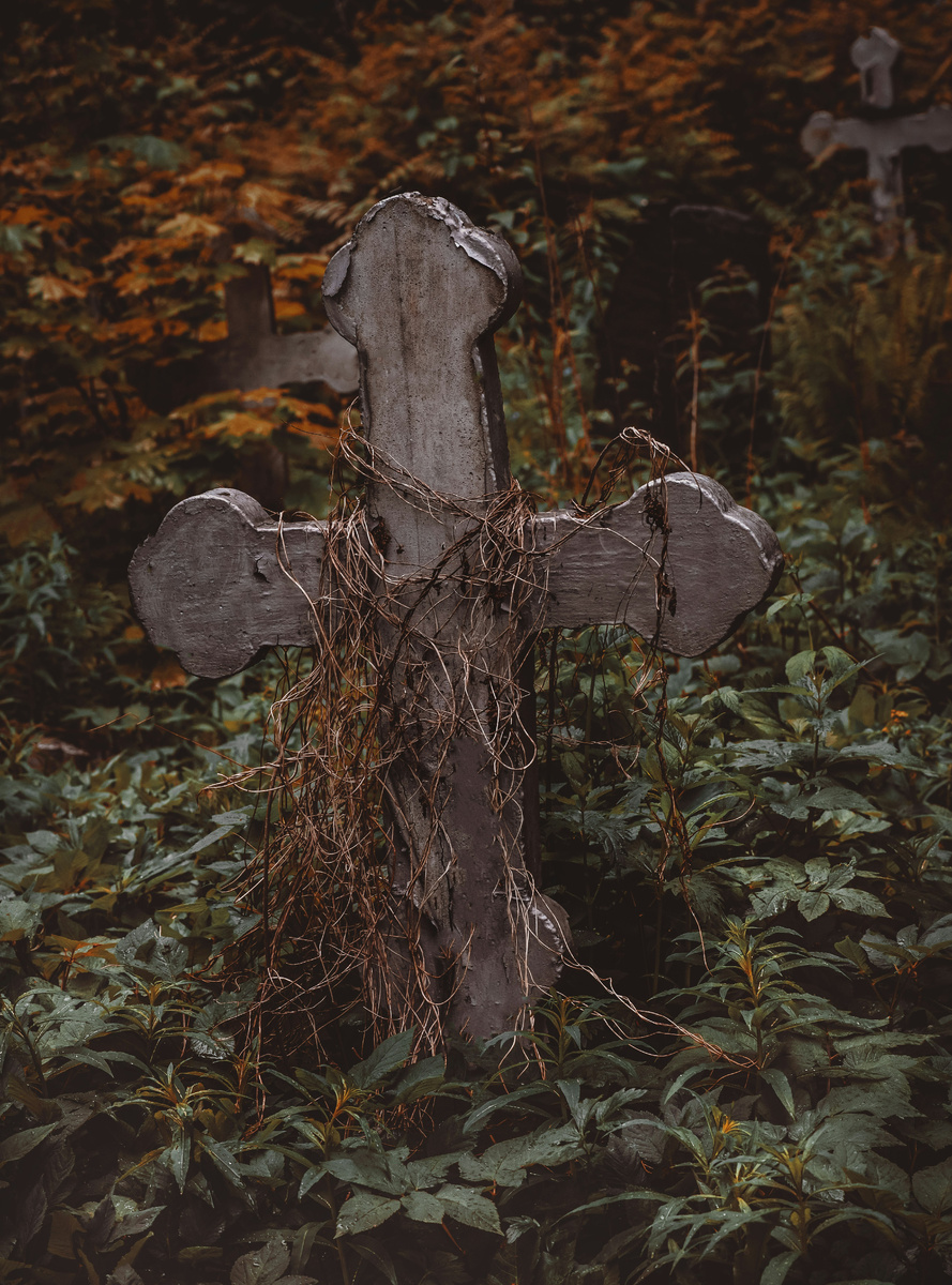 Фото: Unsplashed