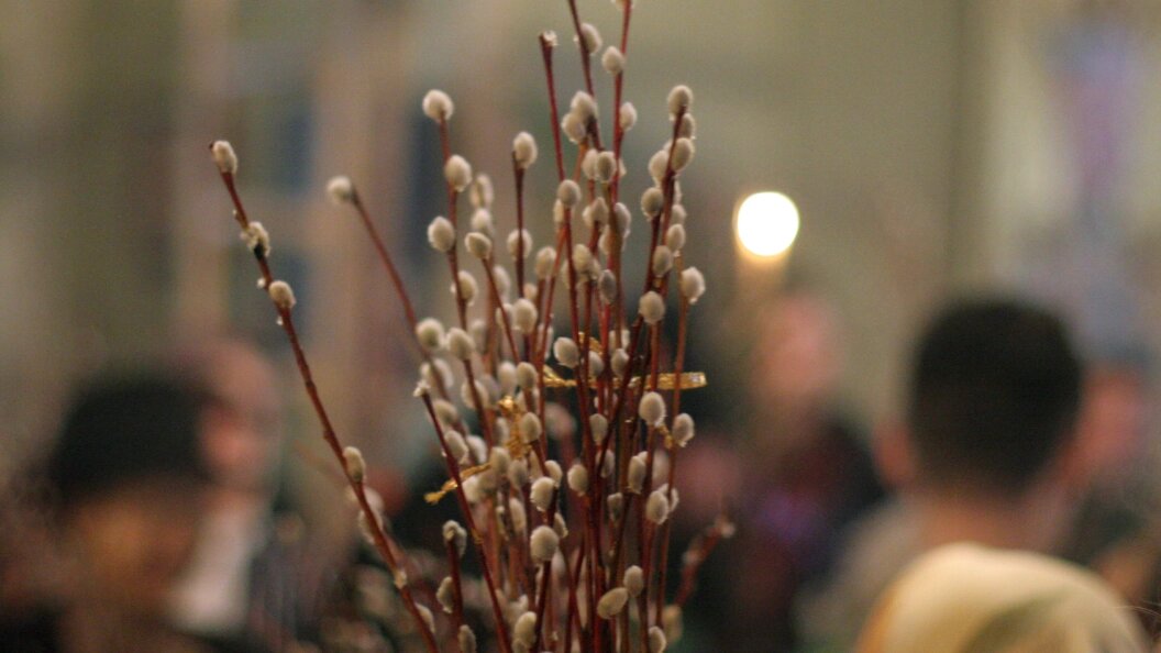    © Daniil Ivanov Russian Look/Globallookpress