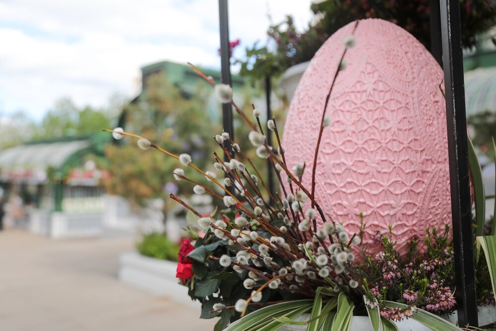    Фото: Новосильцев Артур/АГН "Москва"