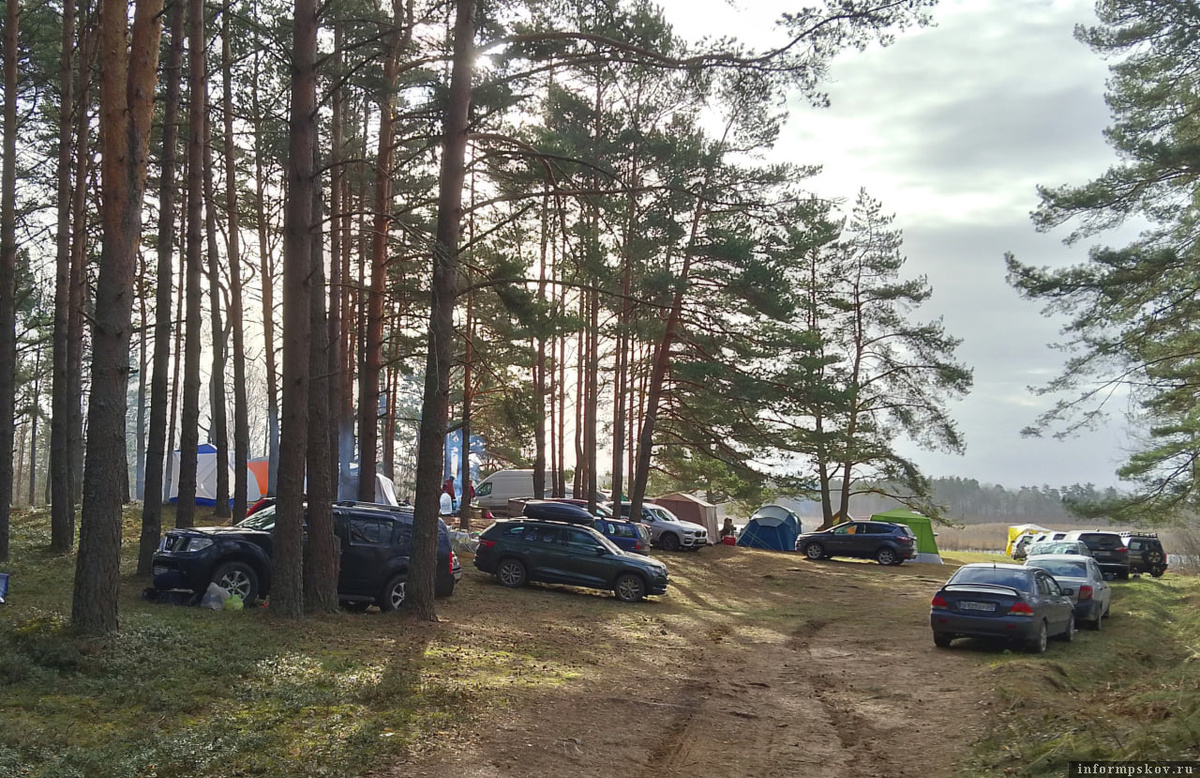 Популярность нашей поляны с каждым годом всё выше