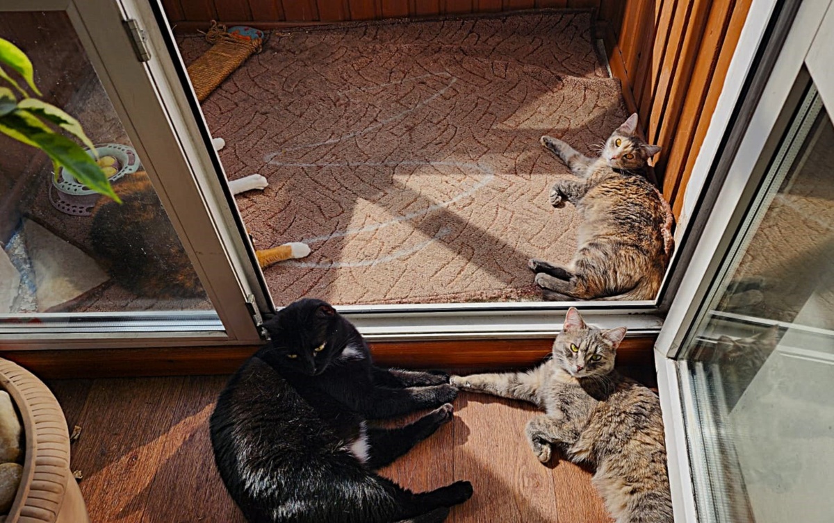 Фото от моей подруги