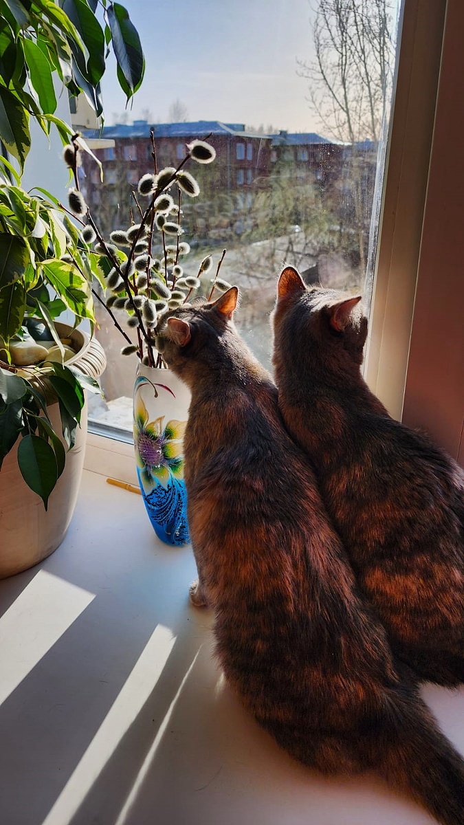 Фото от моей подруги